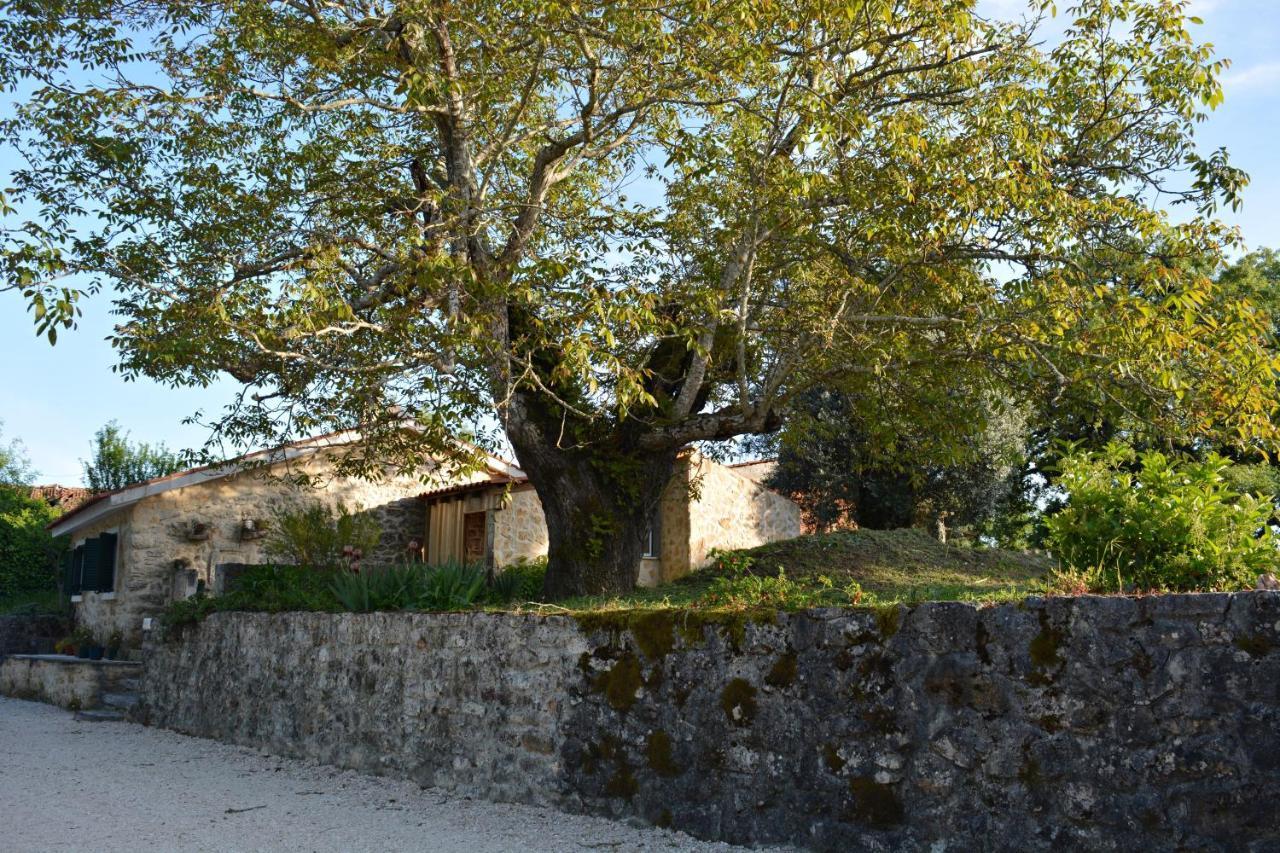 Casa Da Pedra Villa Ансиао Екстериор снимка